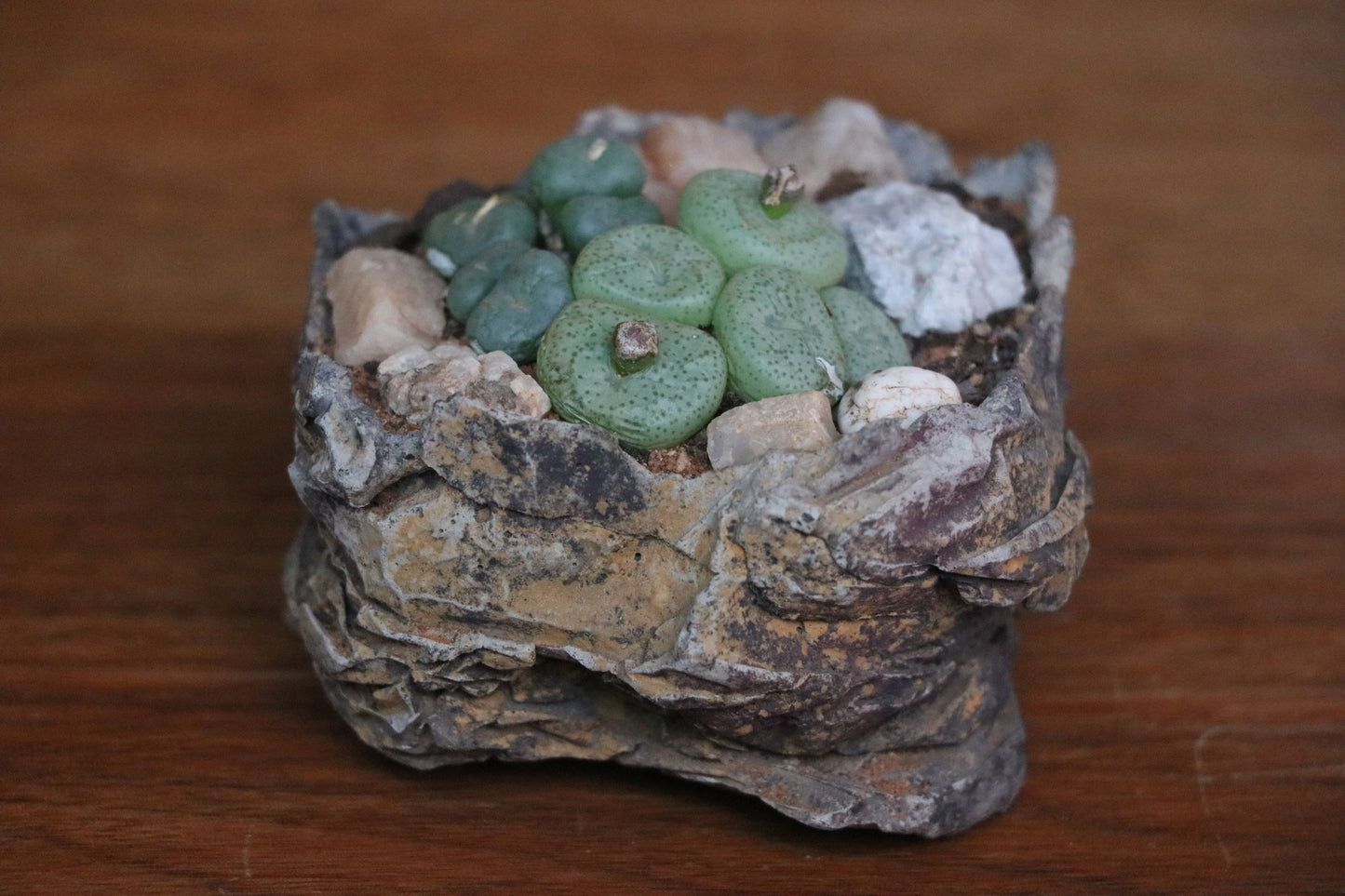 Handmade Habitat Pot (Small)