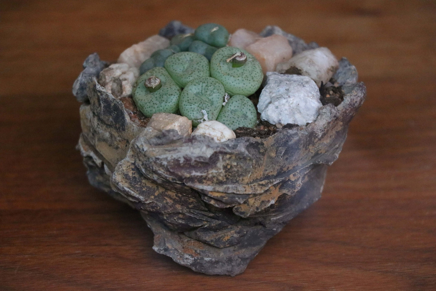 Handmade Habitat Pot (Small)