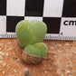 Cheiridopsis verrucosa (Alexander Bay)