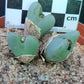 Conophytum bilobum var. elishae