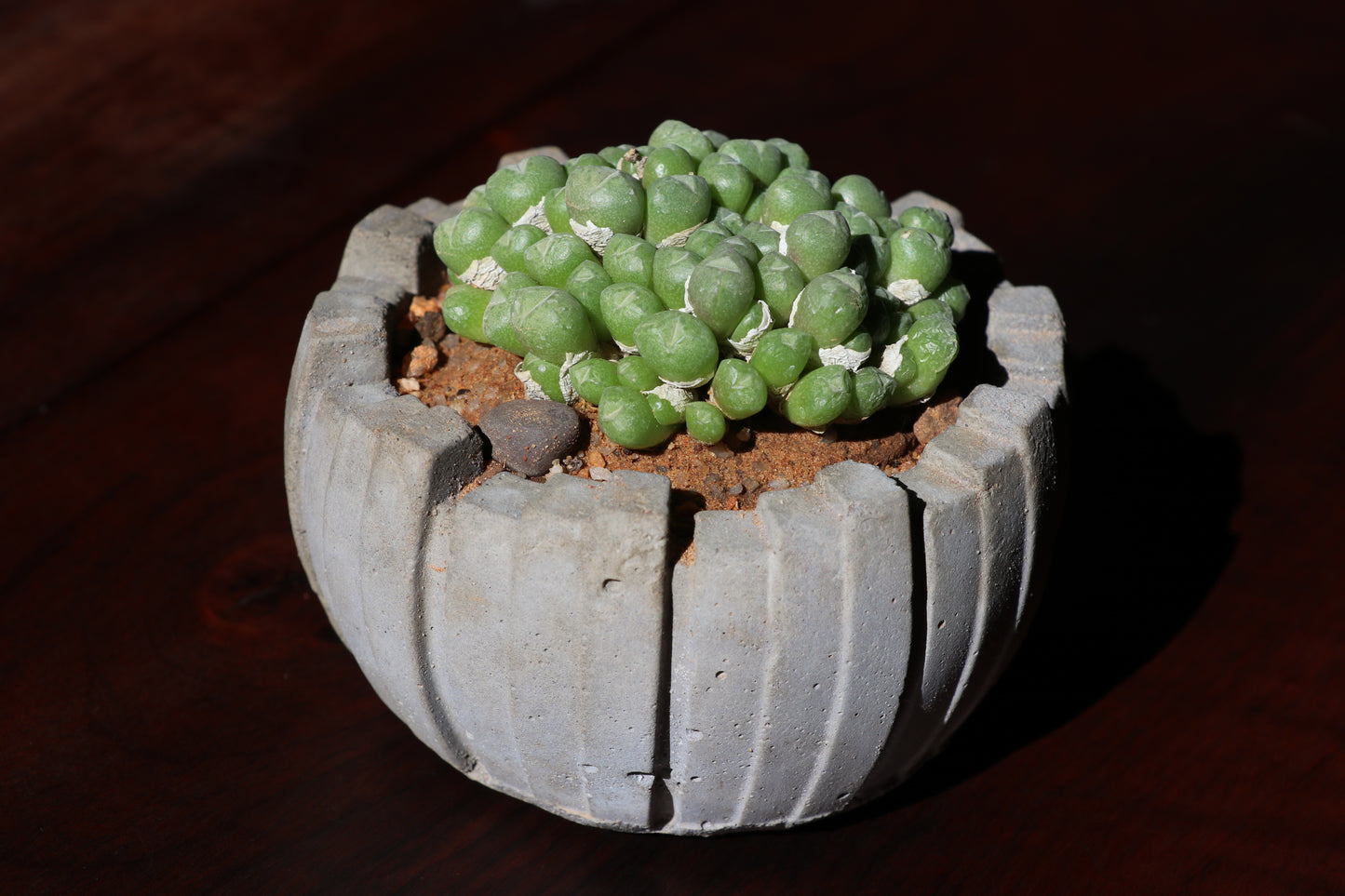 Multi-Coloured Handmade Pots