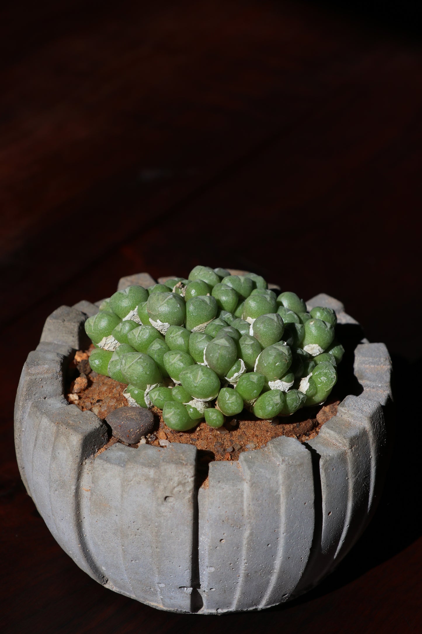 Multi-Coloured Handmade Pots