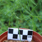 Bowiea volubilis (Climbing Onion)